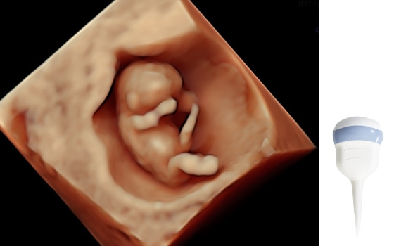 GE Healthcare RAB6-RS Probu