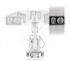 OEC One Range of Motion_290