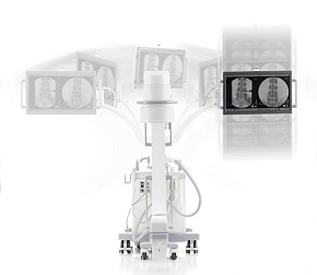 OEC One Range of Motion_290