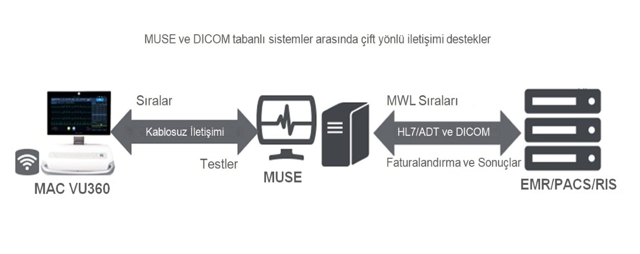 TR_integrated hotspot4
