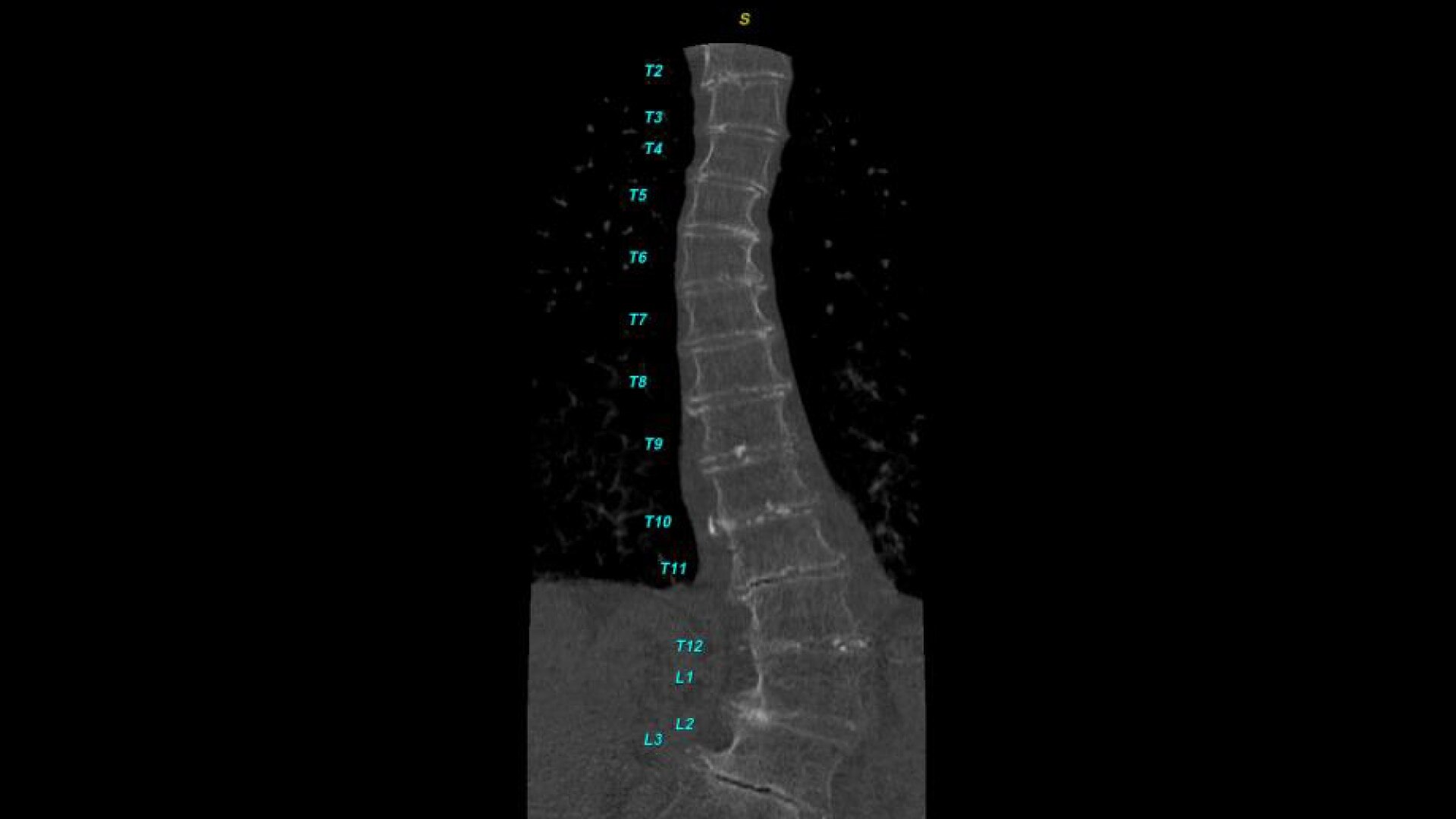 Product Media Carousel Image