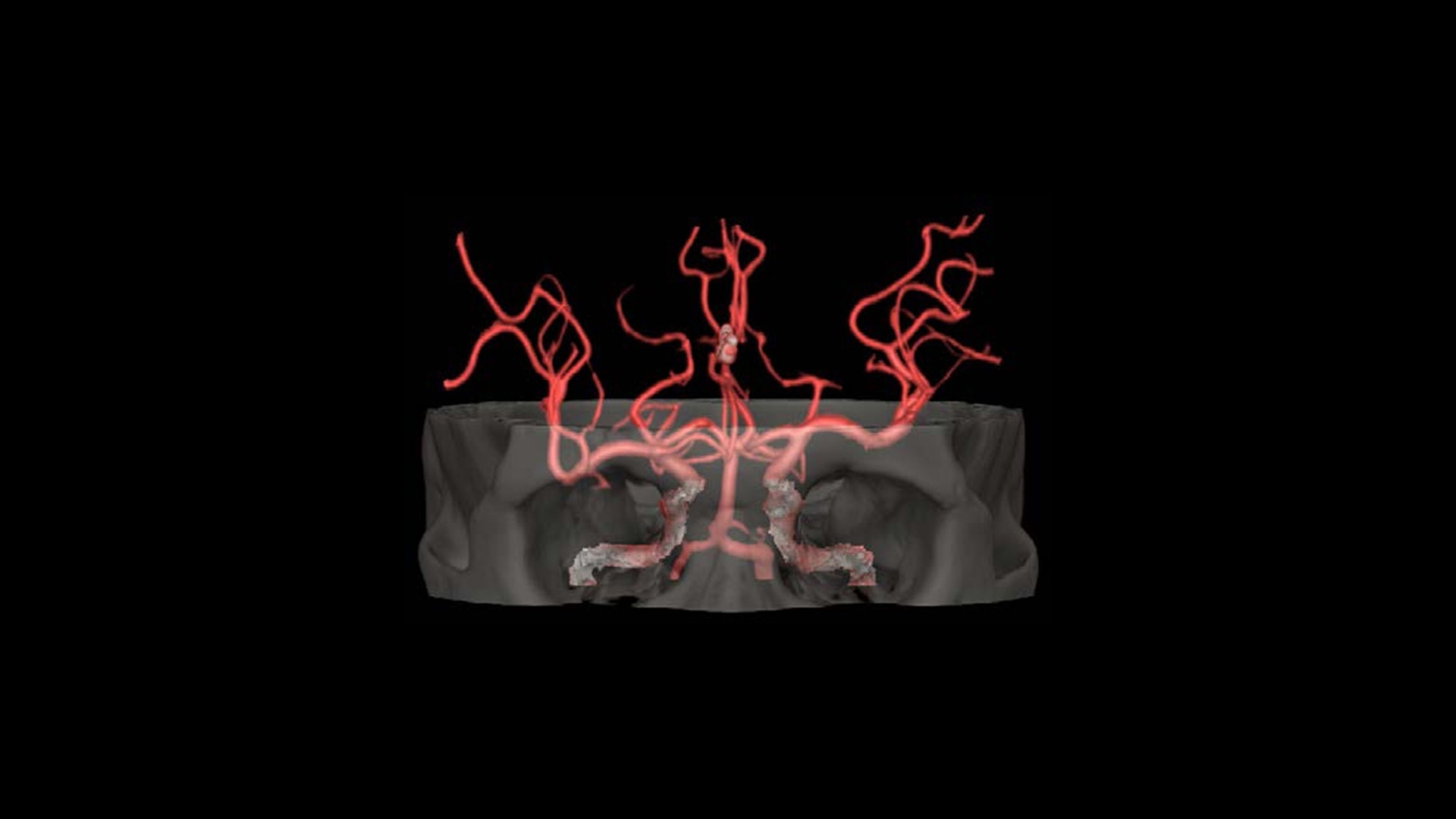 Product Media Carousel Image