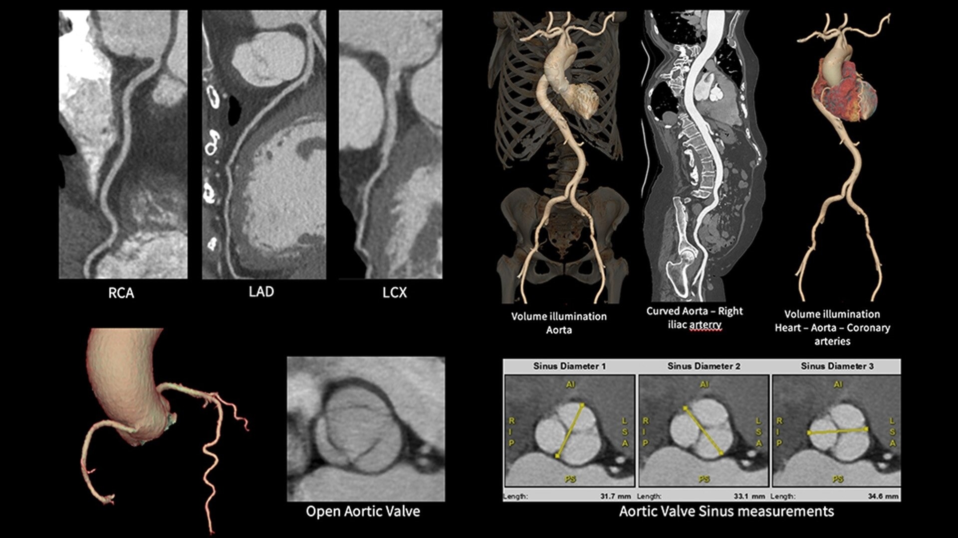Product Media Carousel Image