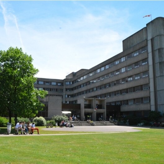 Collection Carousel Image