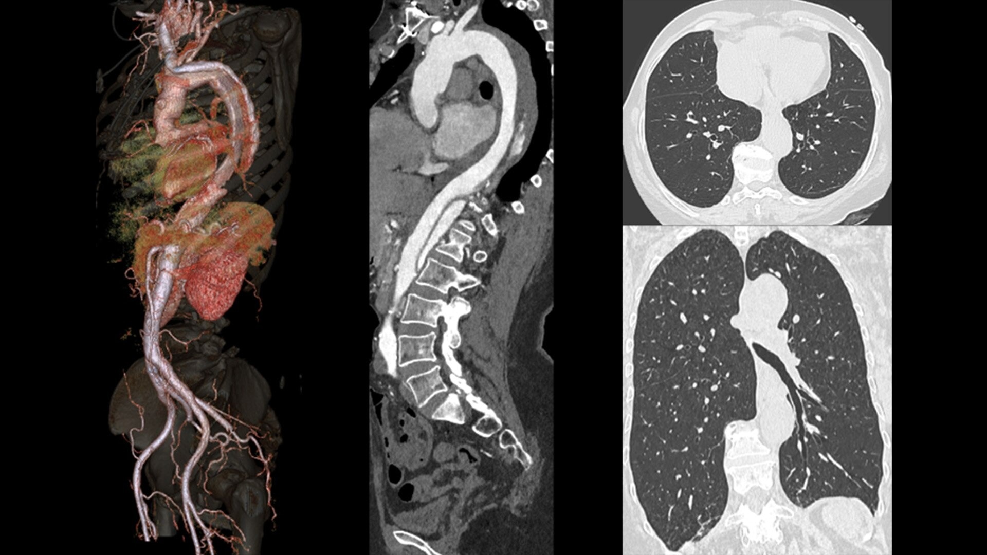 Product Media Carousel Image