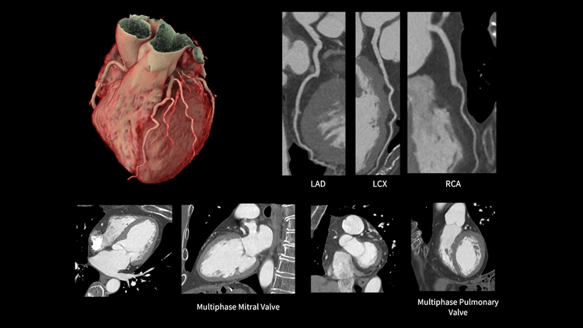 Product Media Carousel Image