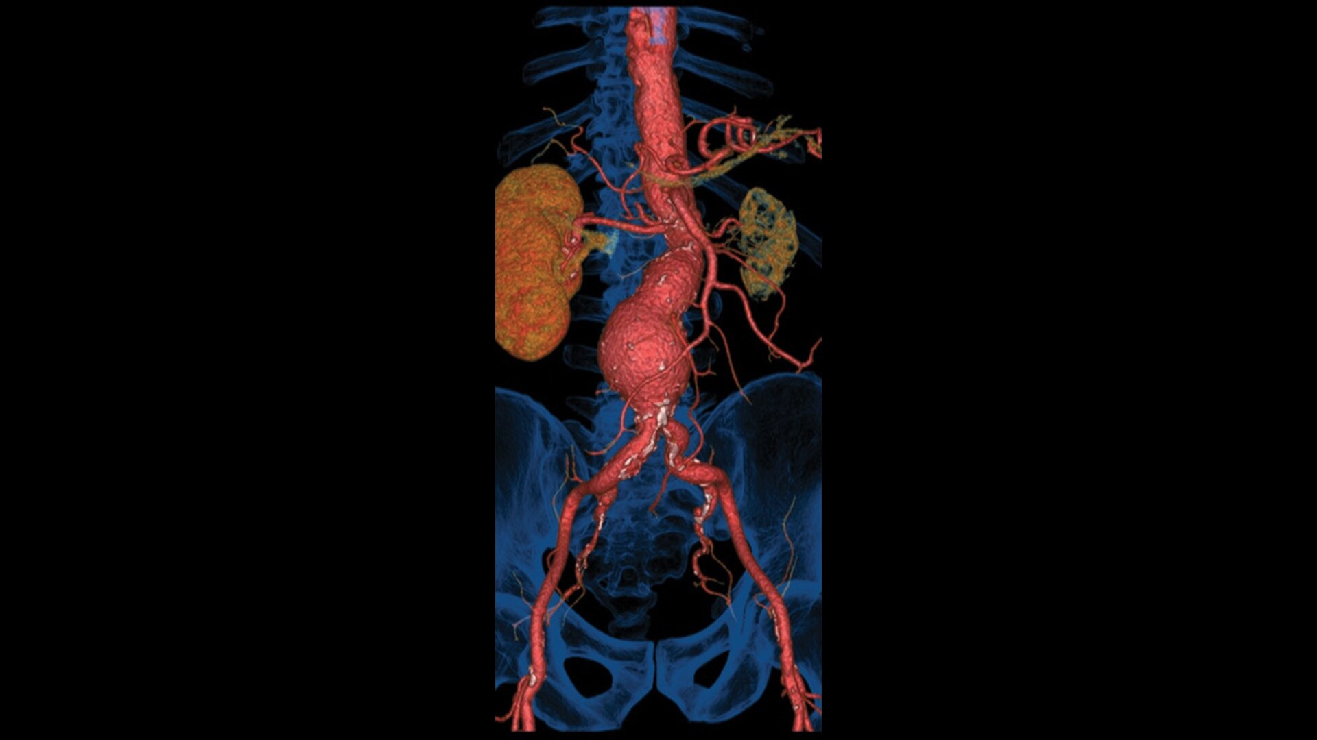 Product Media Carousel Image