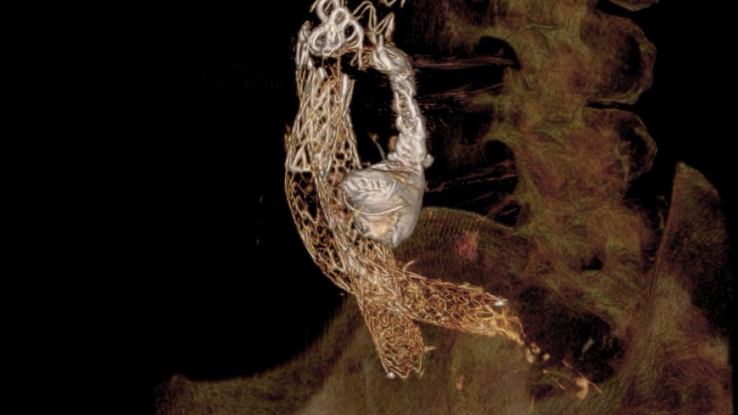 Product Media Carousel Image