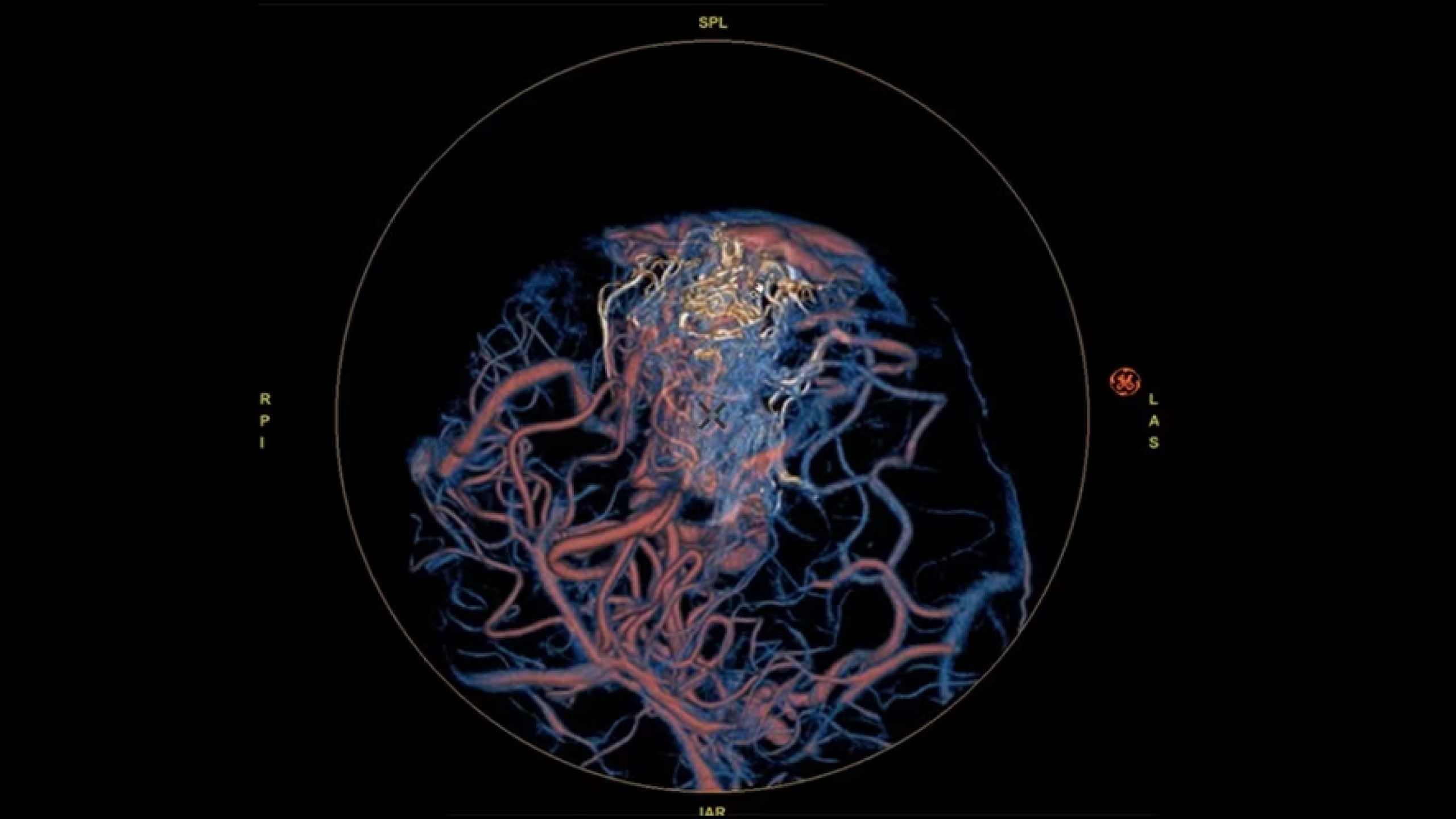 Product Media Carousel Image
