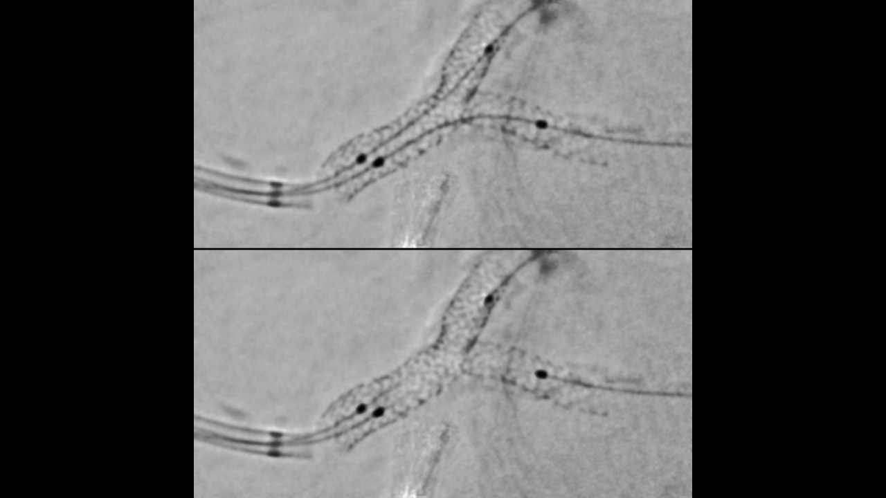 Product Media Carousel Image