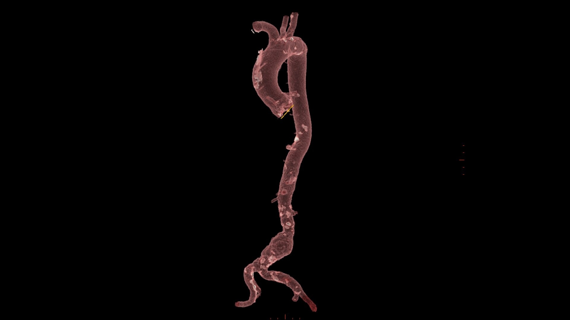 Product Media Carousel Image