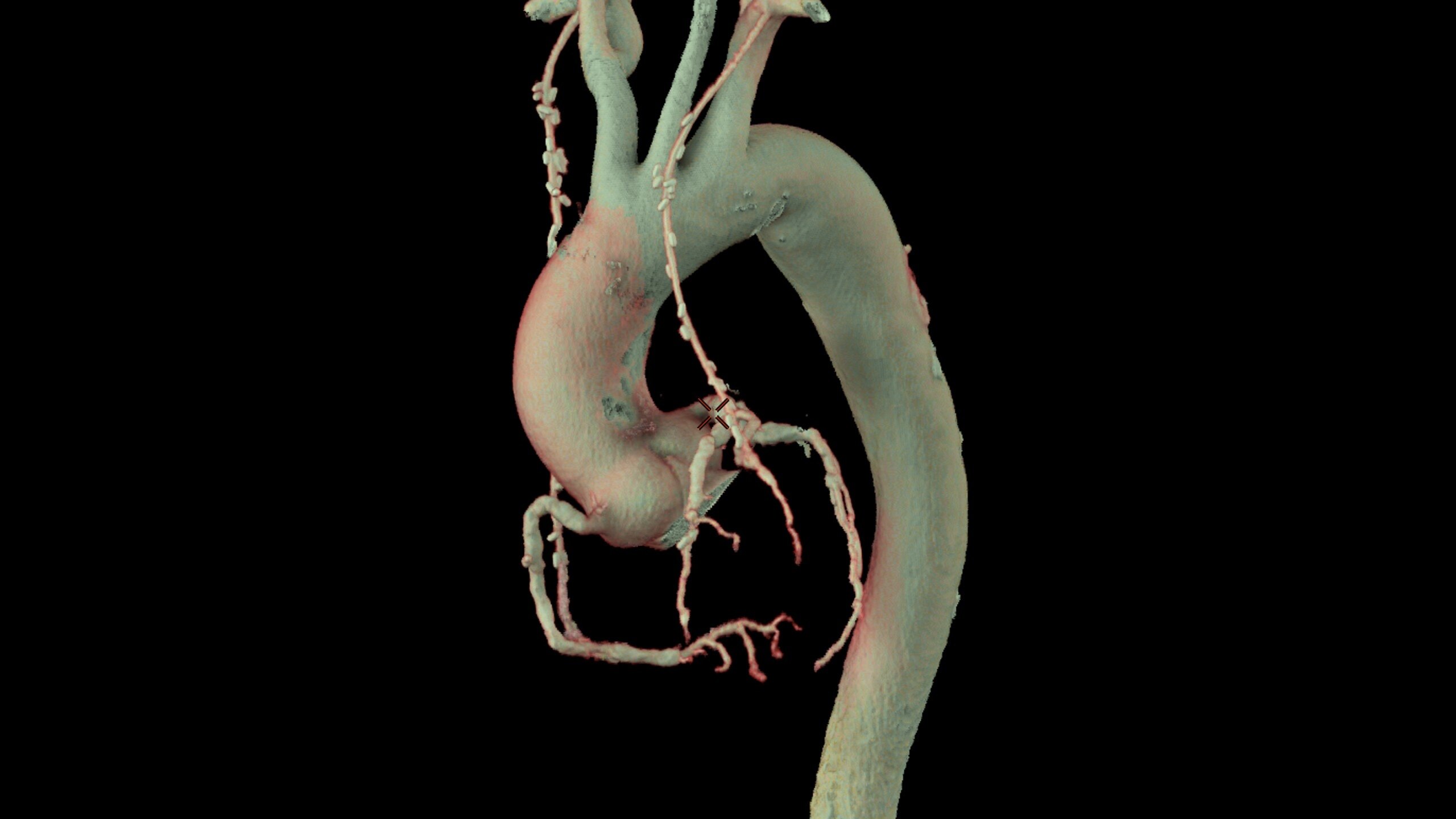 Product Media Carousel Image