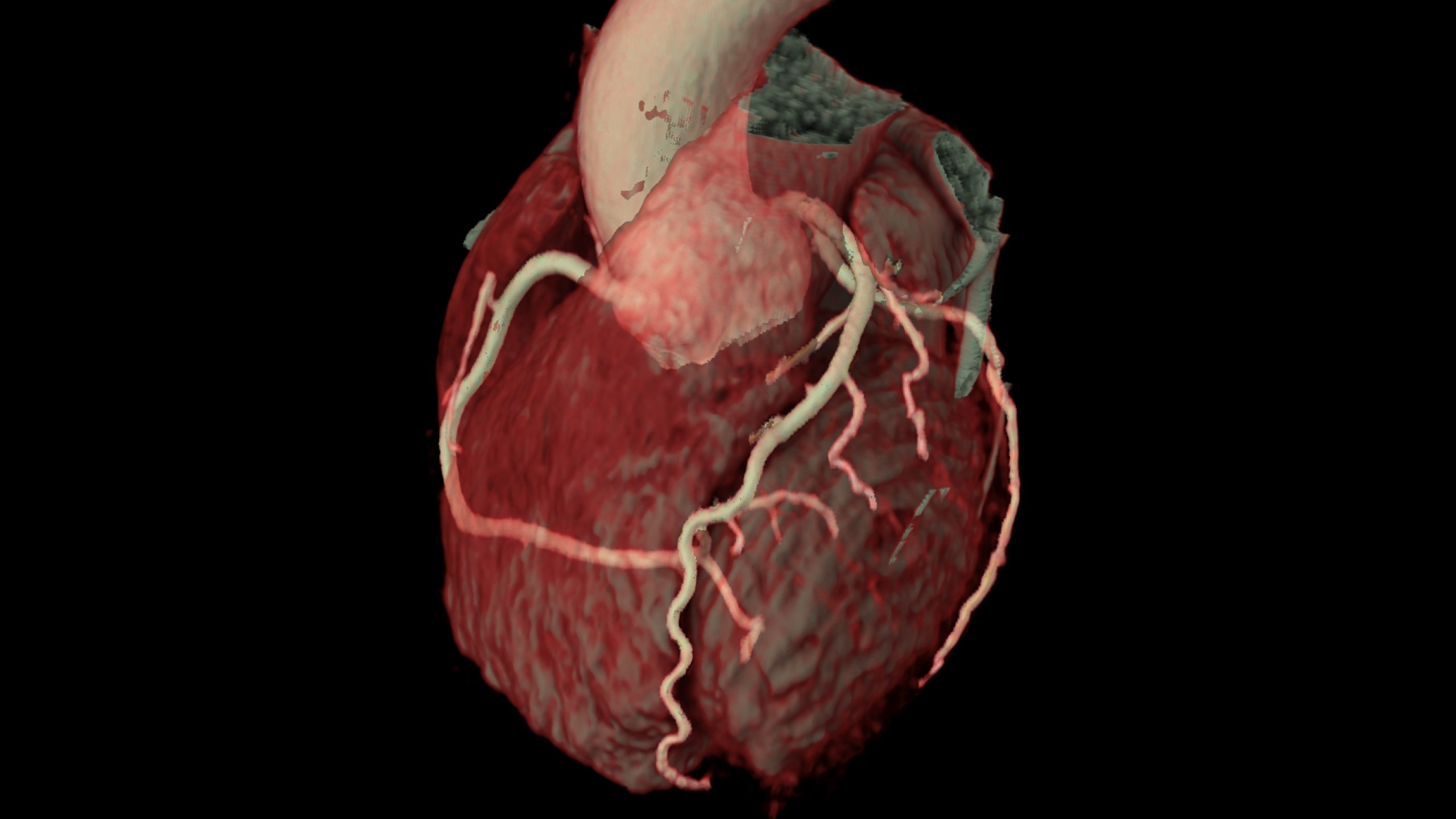 Product Media Carousel Image