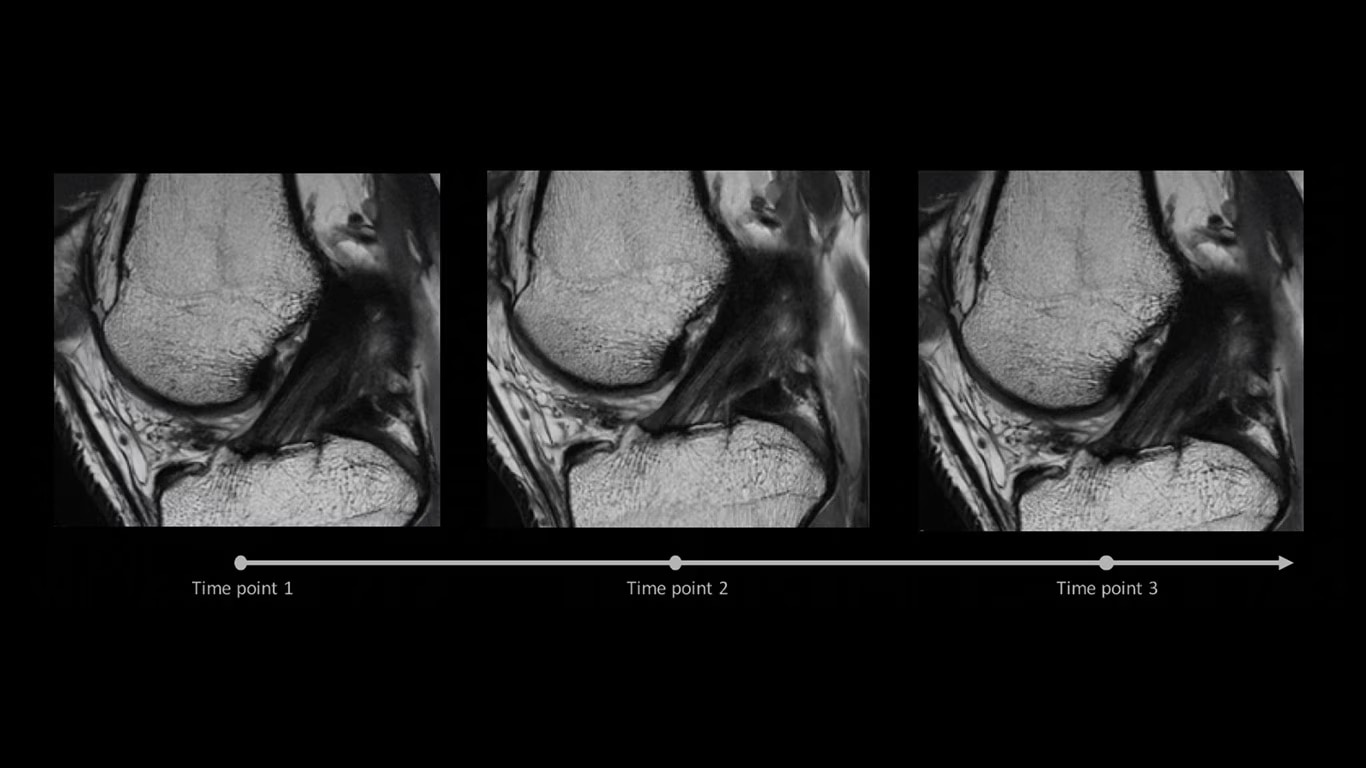 Product Media Carousel Image