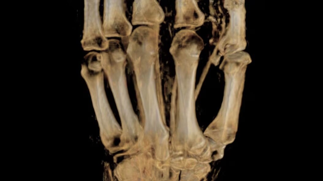 Product Switcher Carousel