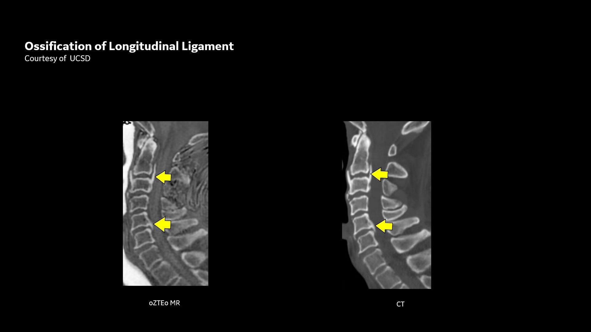 Product Media Carousel Image