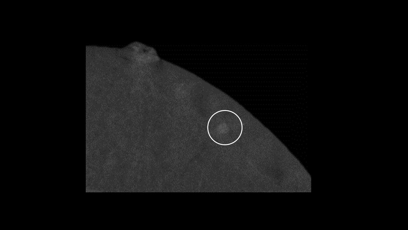 Product Media Carousel Image