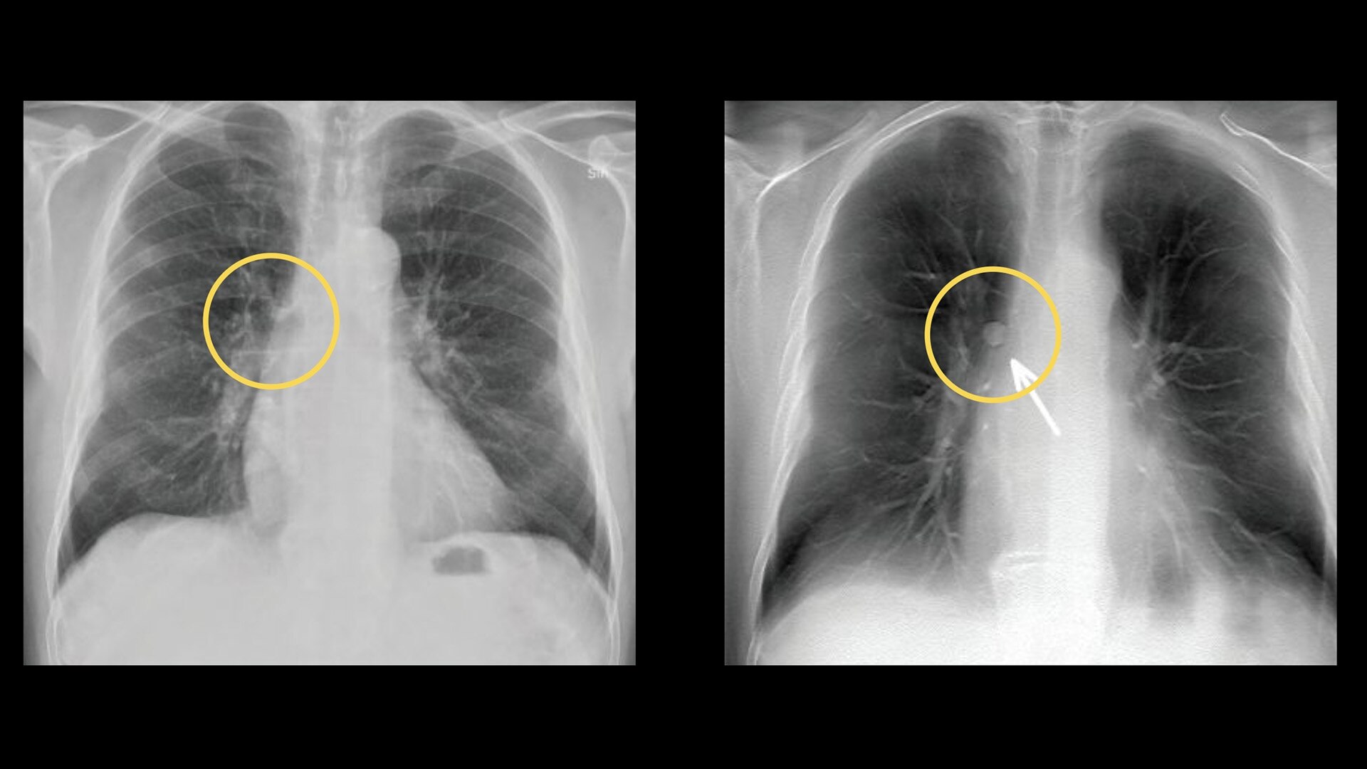 Product Media Carousel Image