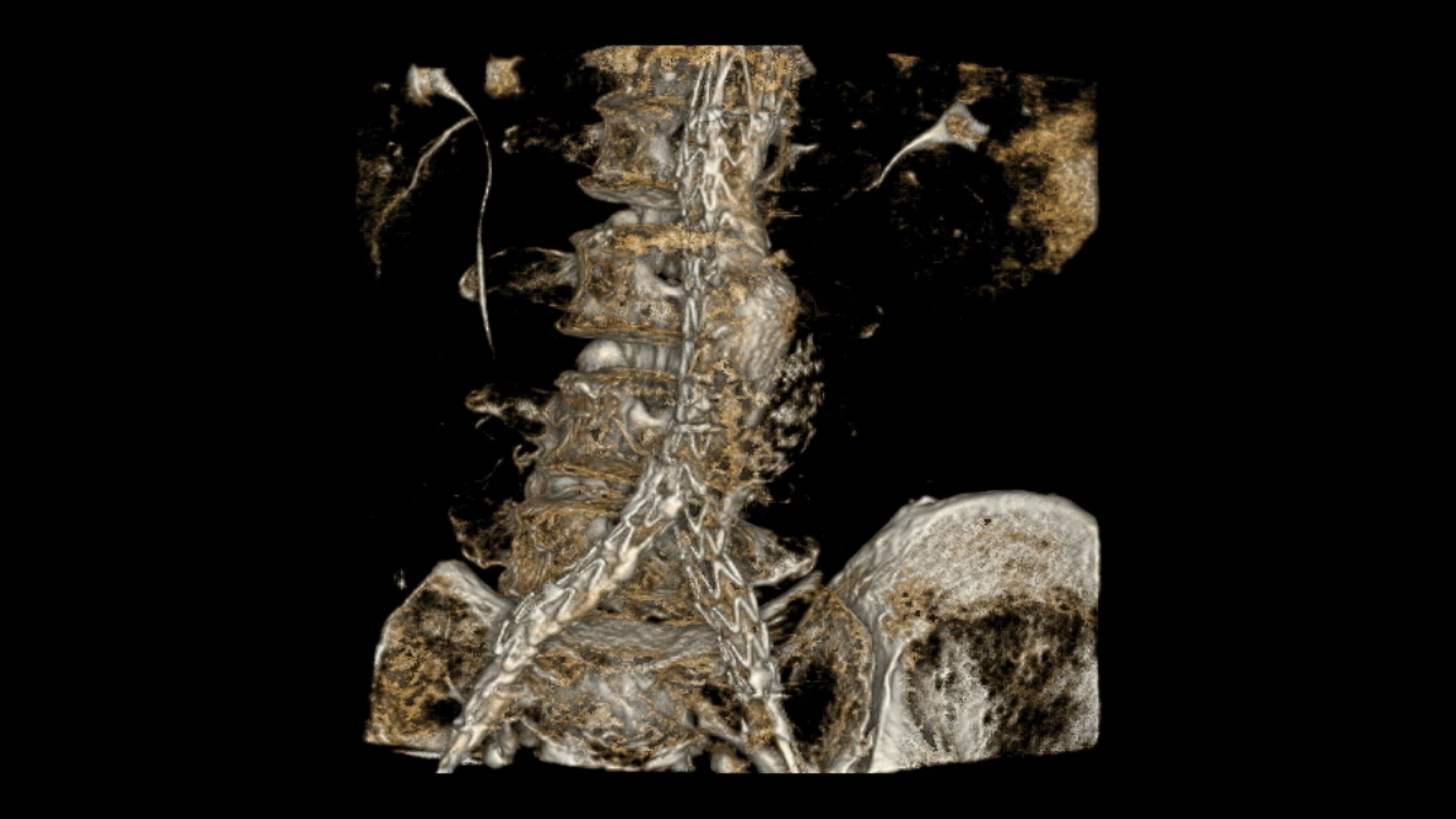 Product Media Carousel Image