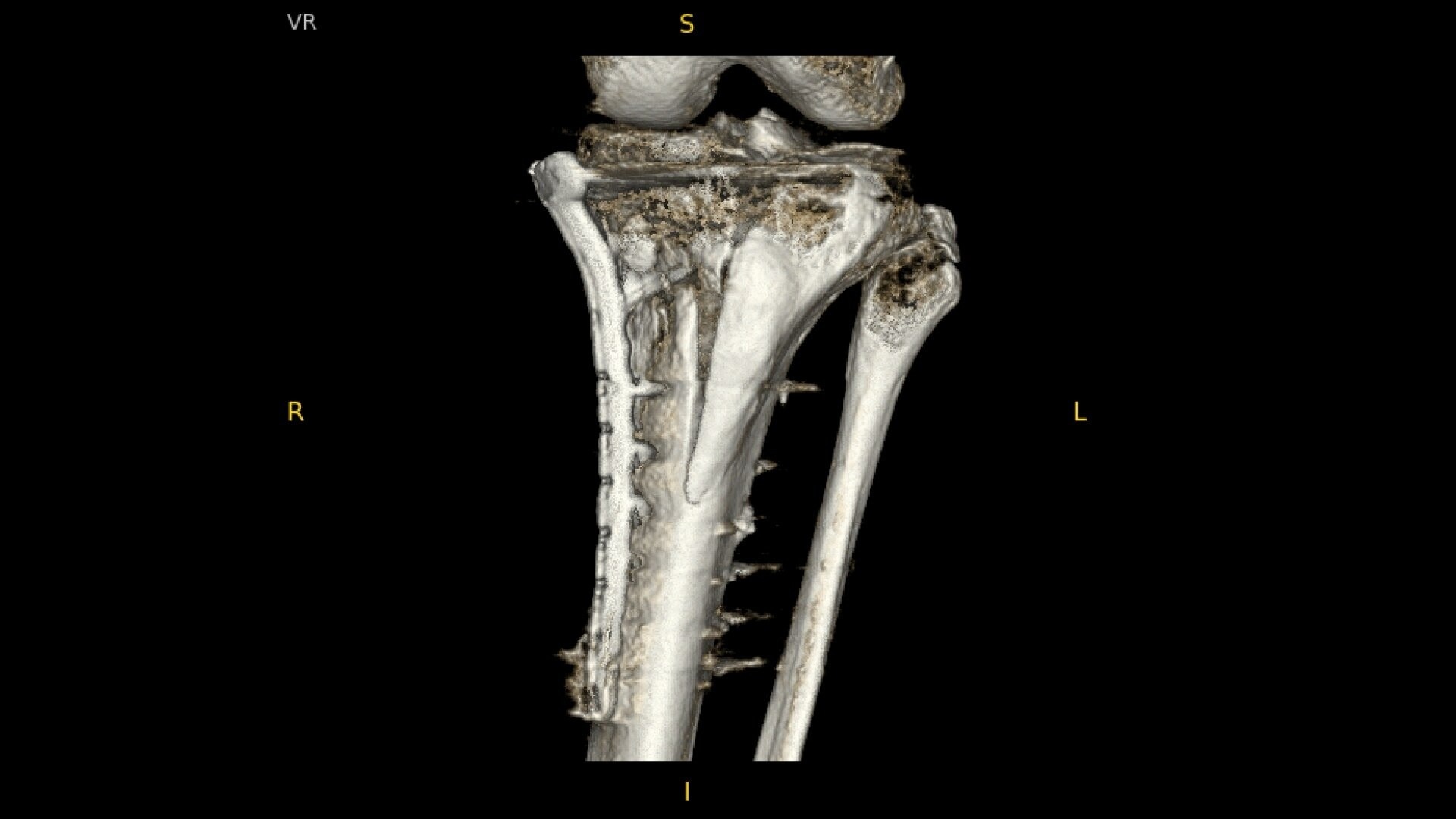 Product Media Carousel Image