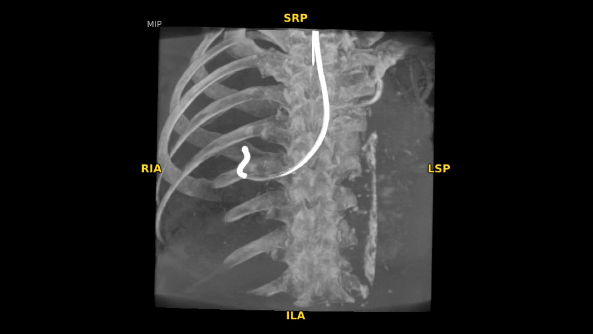 Product Media Carousel Image