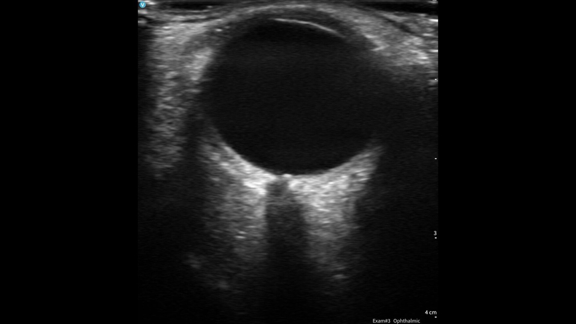 Product Media Carousel Image