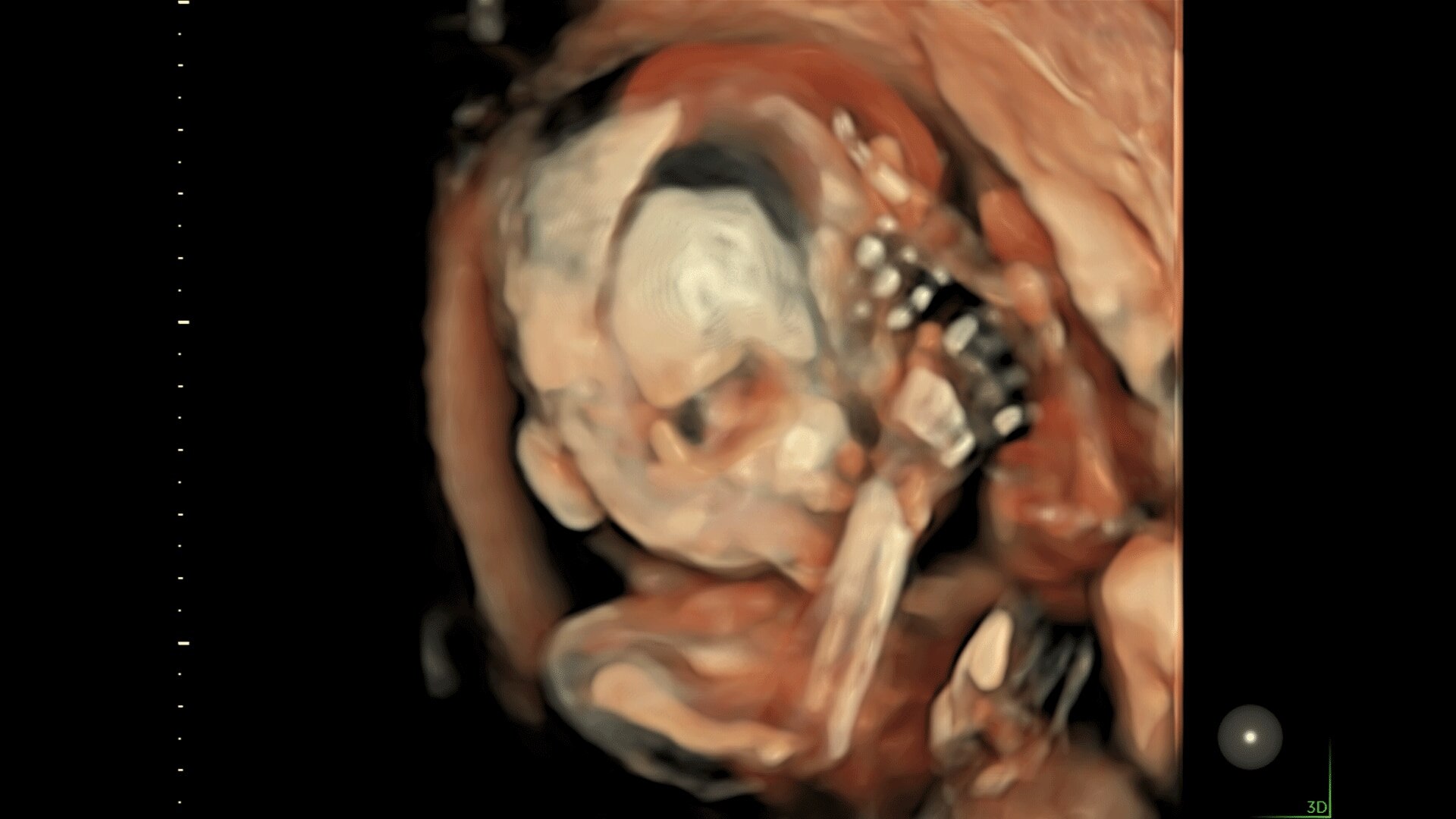 Product Media Carousel Image