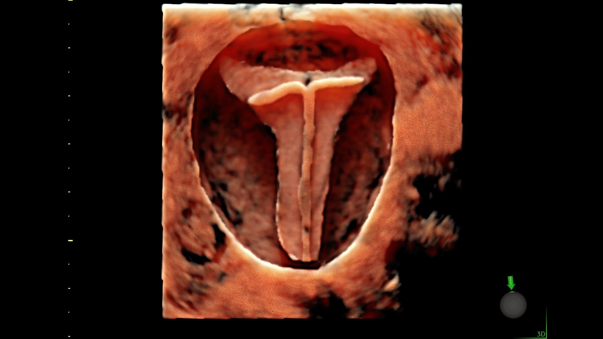 Product Media Carousel Image