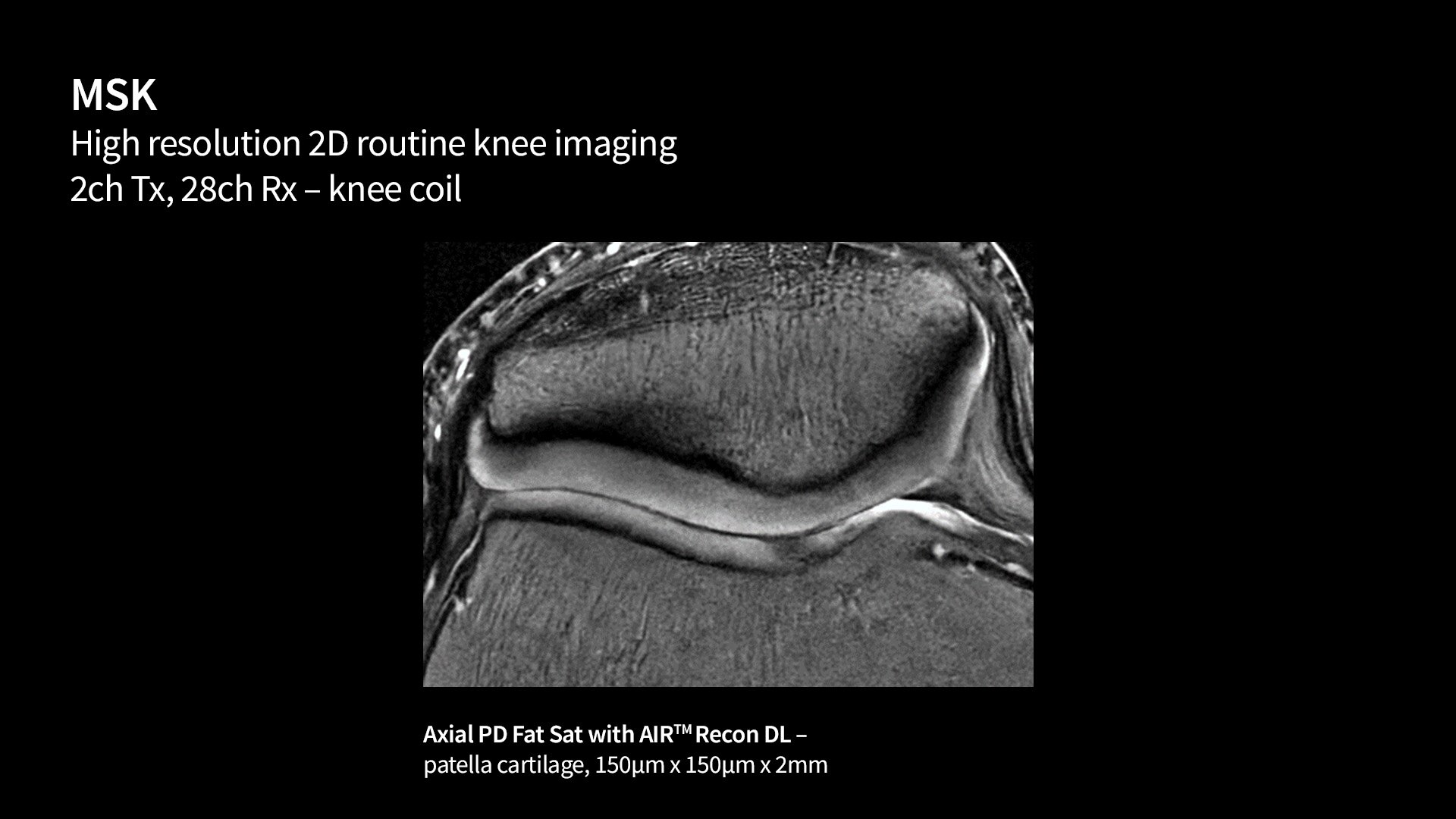 Product Media Carousel Image