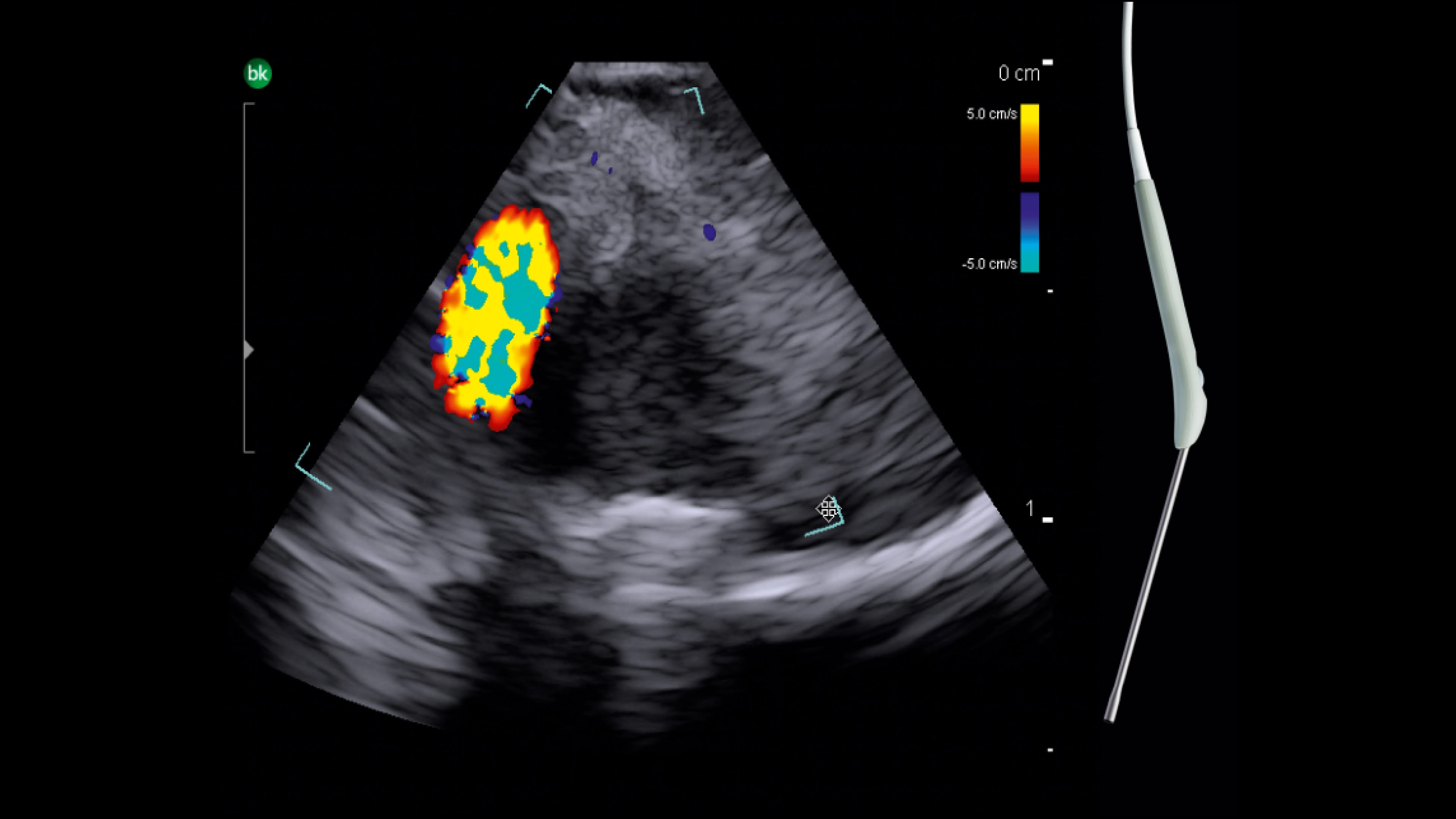 Product Media Carousel Image