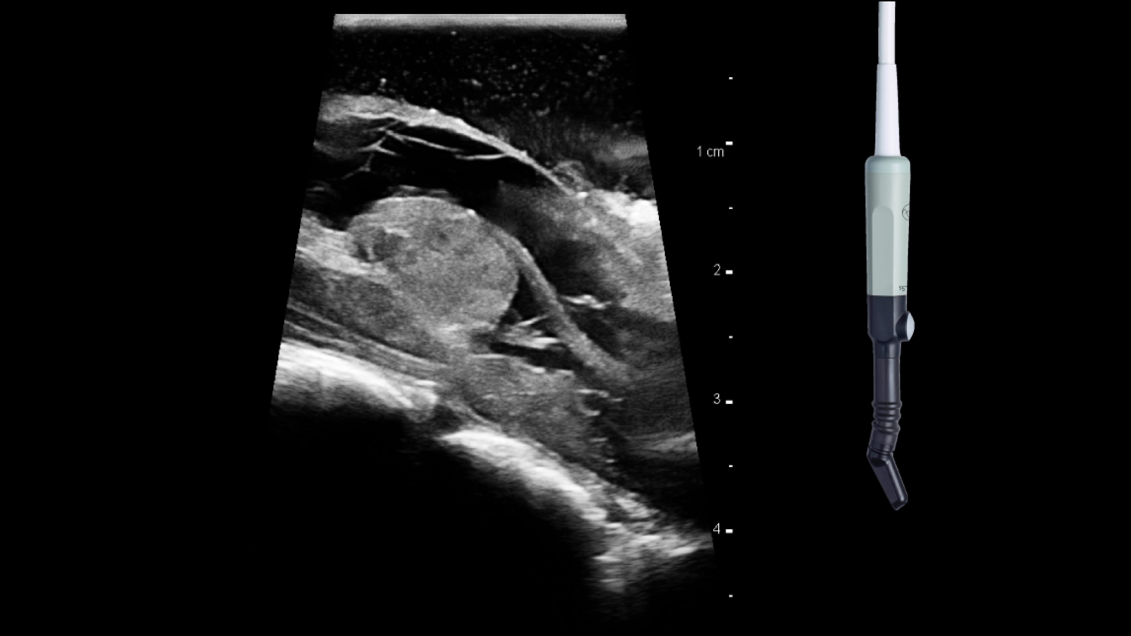 Product Media Carousel Image